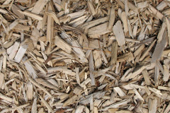 biomass boilers Fyvie