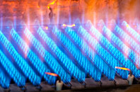 Fyvie gas fired boilers